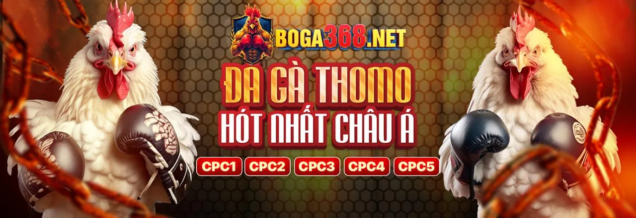Hỗ trợ khách hàng go8 bet
