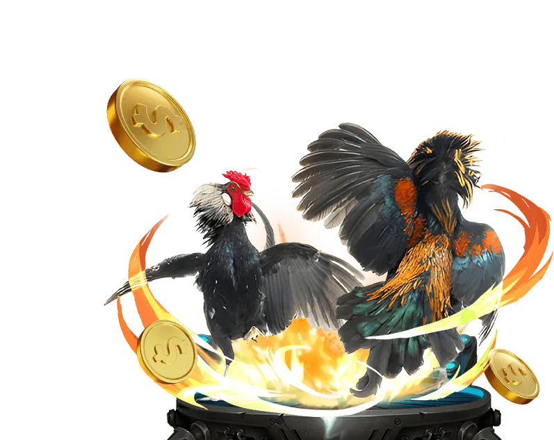 Kiểm soát cảm xúc khi cá cược go8 bet